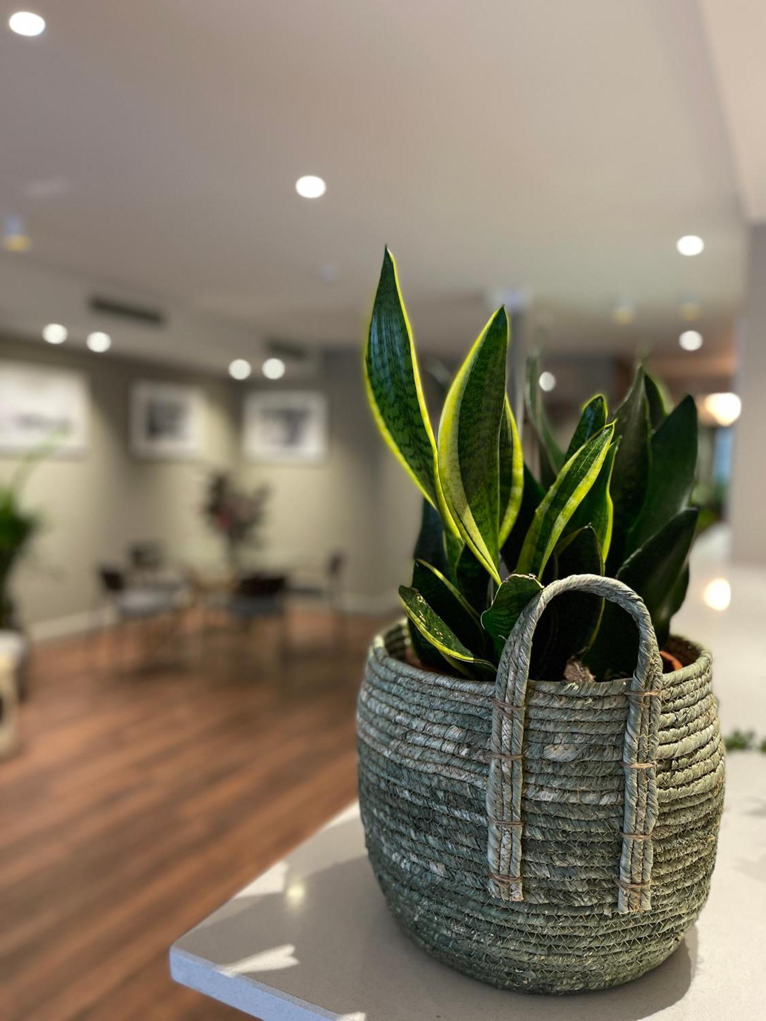Vtz Hotel San Valero 사라고사 외부 사진